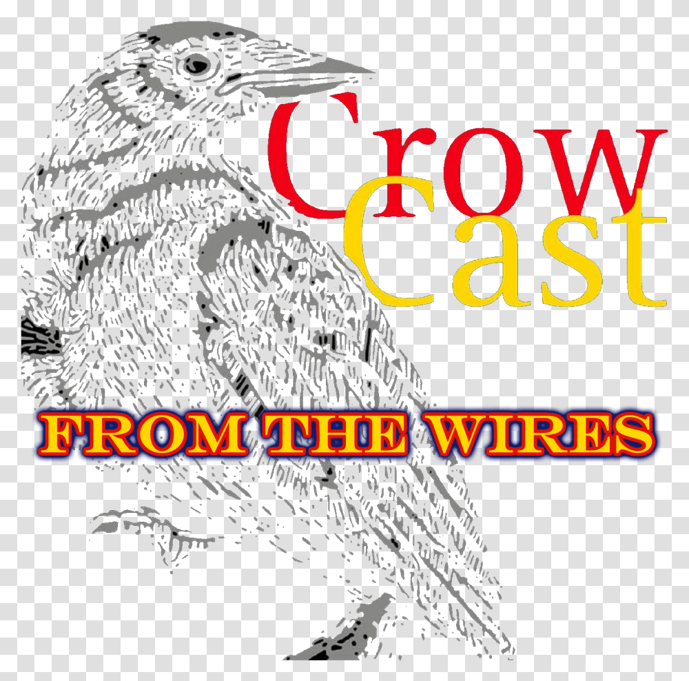 Old World Flycatcher, Animal, Bird, Crow Transparent Png