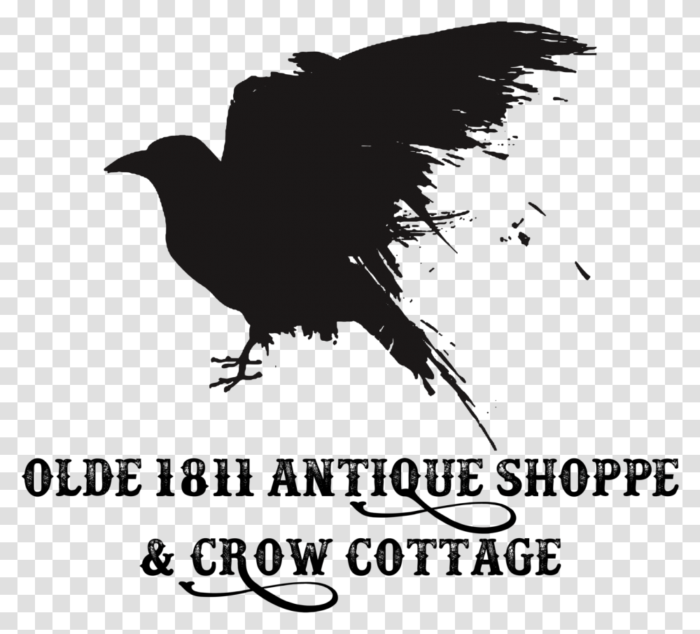 Olde 1811 Antique Shoppe And Crow Cottage Crow, Poster, Advertisement, Silhouette, Animal Transparent Png