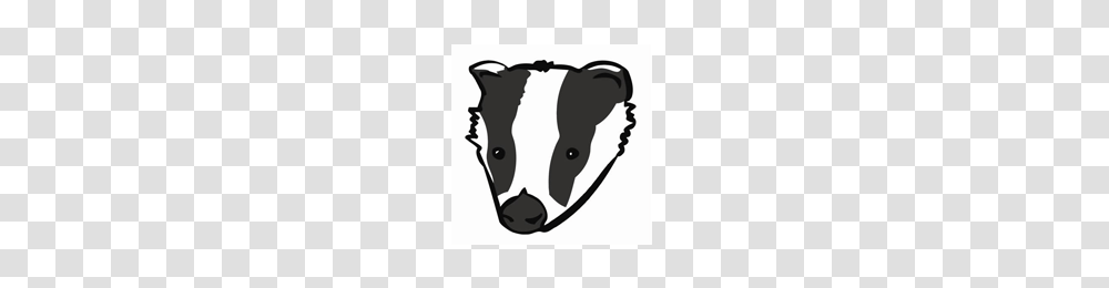Oldfield Park School Website Badger Class, Mammal, Animal, Stencil, Wildlife Transparent Png