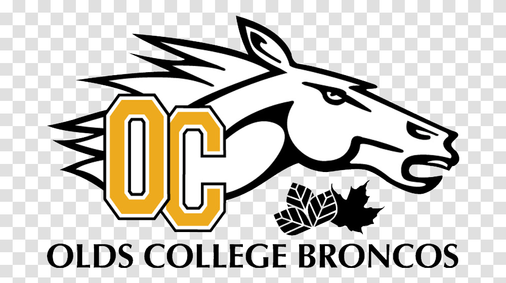 Olds Broncos Download Olds College Broncos Logo, Gun, Weapon, Weaponry, Label Transparent Png