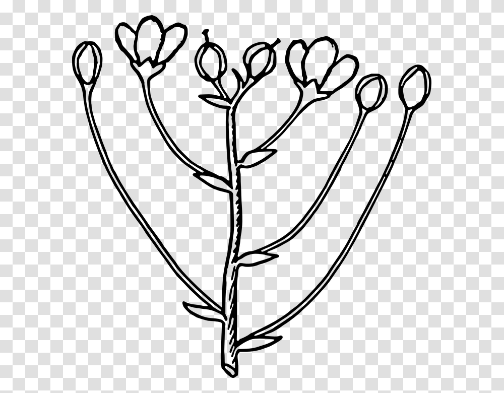 Oleander Flower And Bud Clip Art Free Vect, Gray, World Of Warcraft Transparent Png