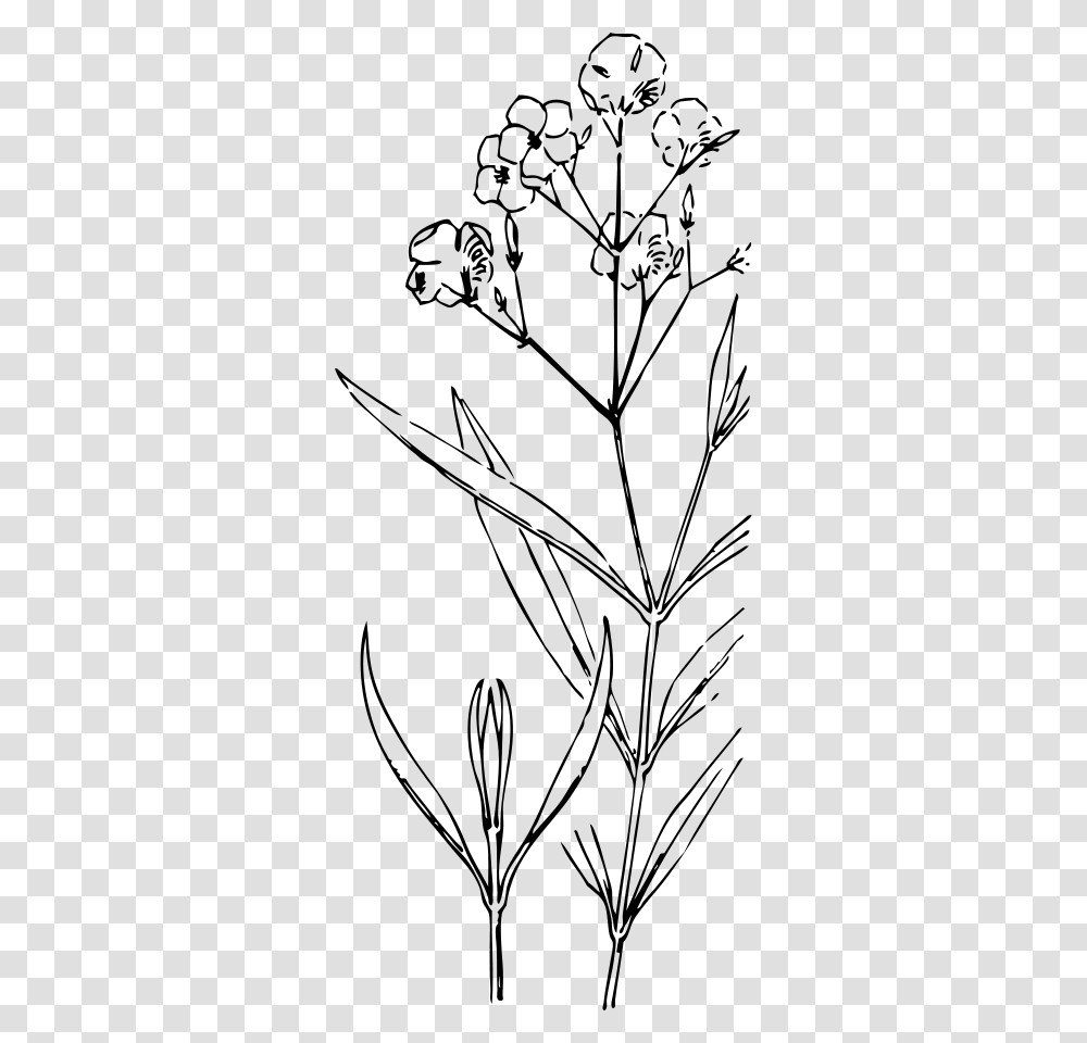 Oleander Svg Clip Arts White Flower Drawing, Gray, World Of Warcraft Transparent Png