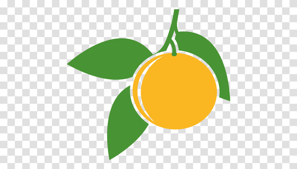 Oleggur - Canva Bergamot Orange, Plant, Fruit, Food, Produce Transparent Png