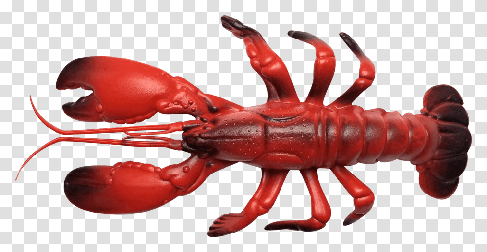 Olhzn Space Lobster American Lobster, Seafood, Sea Life, Animal, Crawdad Transparent Png