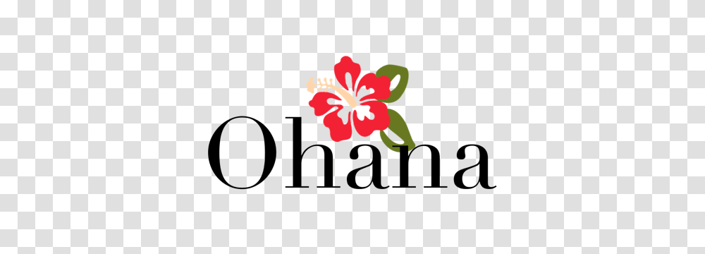 Olivas Image, Hibiscus, Flower, Plant, Blossom Transparent Png