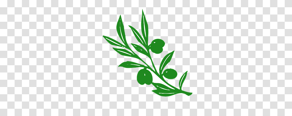 Olive Nature, Plant, Vase, Jar Transparent Png