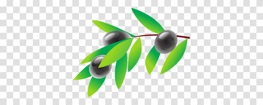 Olive Nature, Green, Leaf, Plant Transparent Png