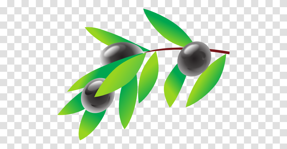 Olive Branch Clip Art, Green, Plant, Sphere, Logo Transparent Png