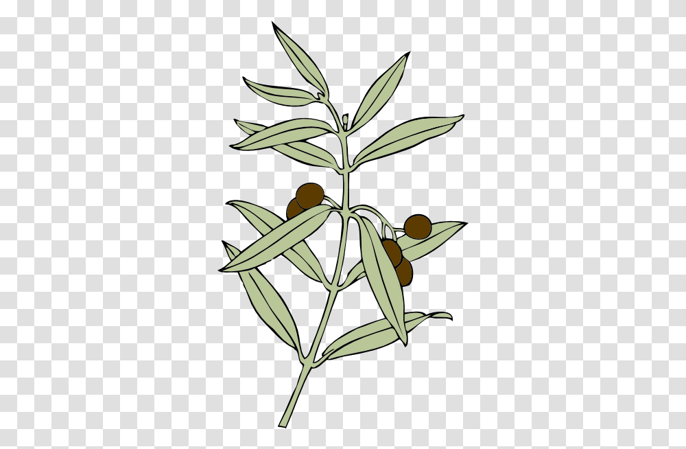 Olive Branch Clip Art, Leaf, Plant, Herbal, Herbs Transparent Png