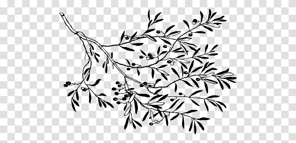 Olive Branch Clip Art, Plant, Floral Design, Pattern Transparent Png