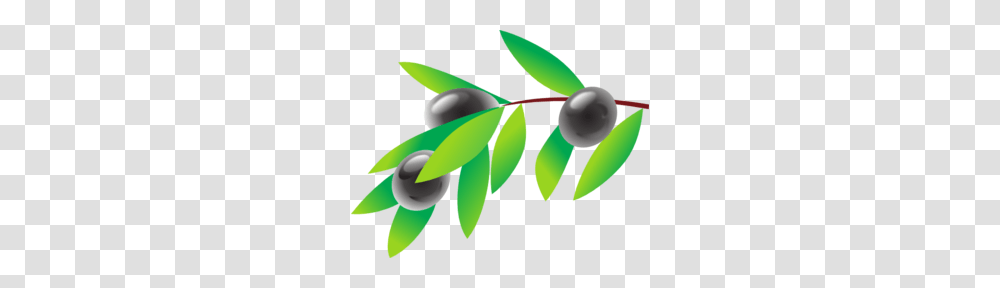 Olive Branch Clip Art, Plant, Icing, Photography, Seed Transparent Png