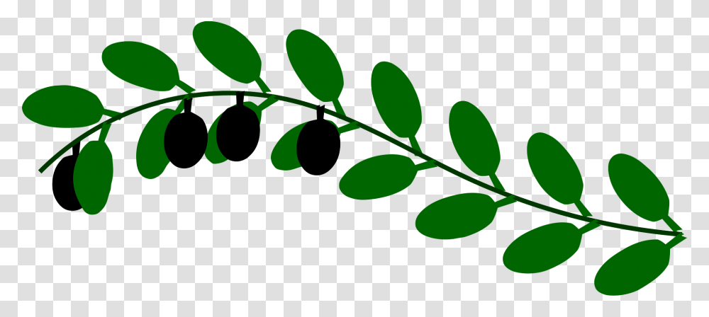Olive Branch Clipart 23 820 X 340 Webcomicmsnet Green Outline Of Leaves, Leaf, Plant, Fruit, Food Transparent Png