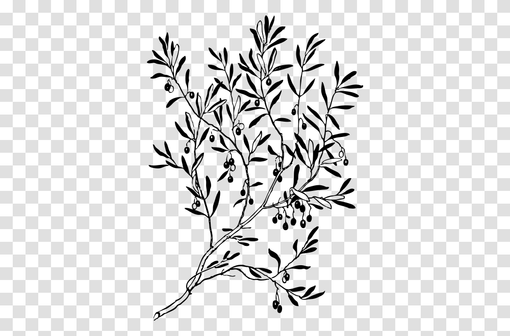 Olive Branch Clipart For Web, Gray, World Of Warcraft Transparent Png