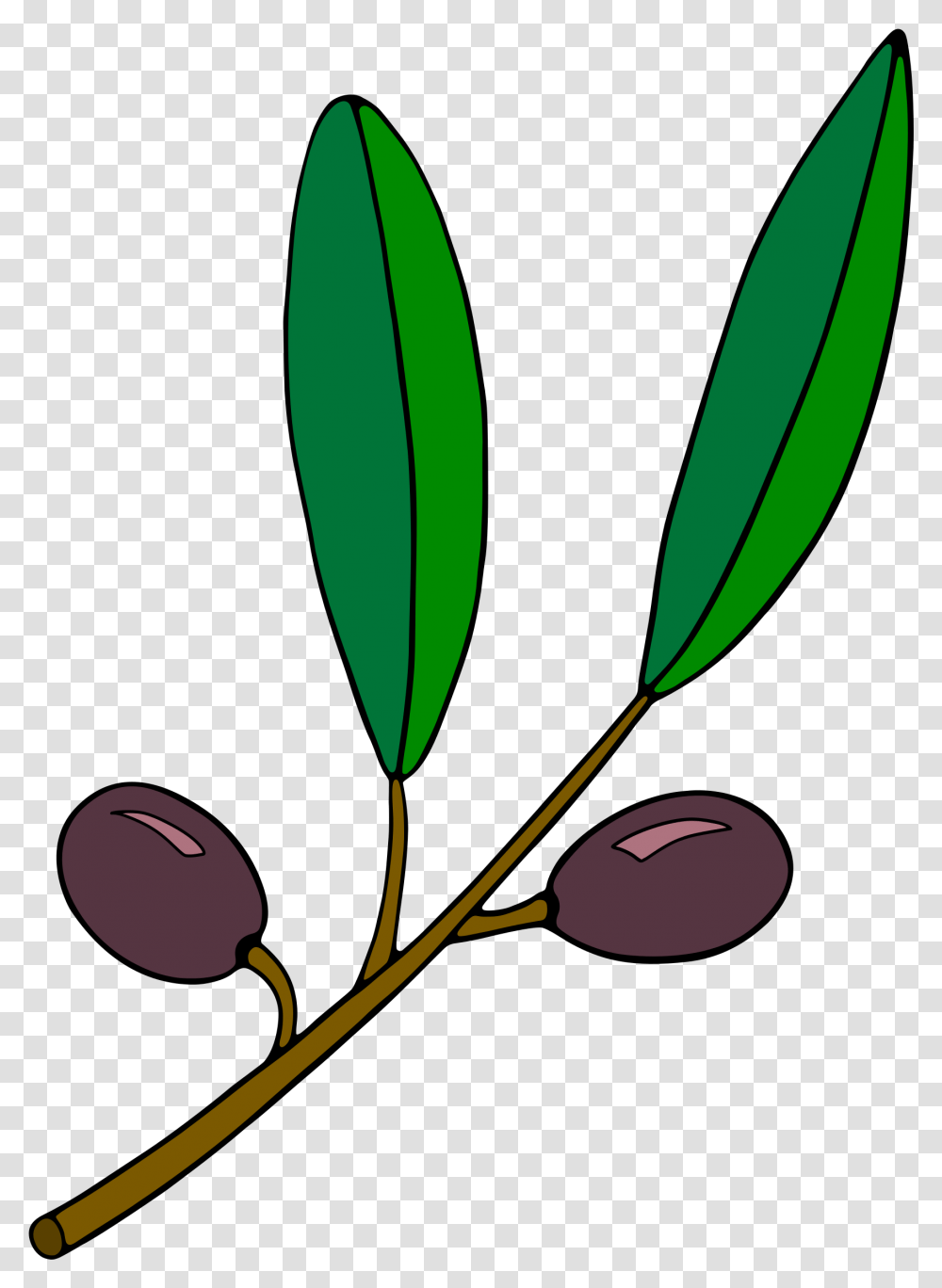 Olive Branch Clipart Olive Branch Clip Part, Leaf, Plant, Green, Fruit Transparent Png