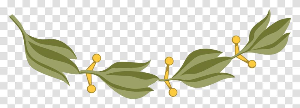 Olive Branch Computer Icons Laurel Wreath Blog, Leaf, Plant, Tree Transparent Png
