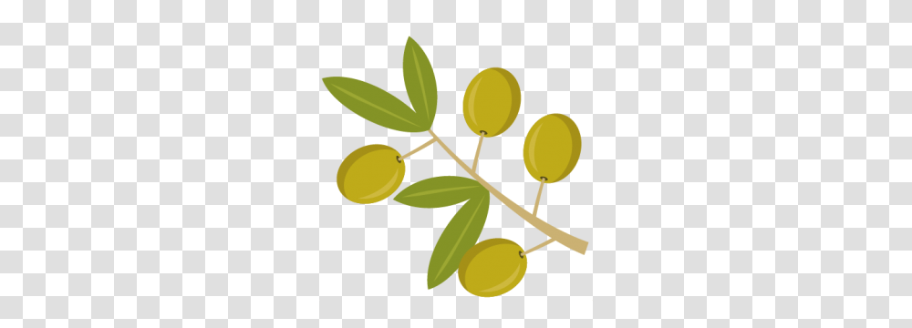 Olive Branch Cutting Olive Wreath, Plant, Leaf, Annonaceae, Tree Transparent Png