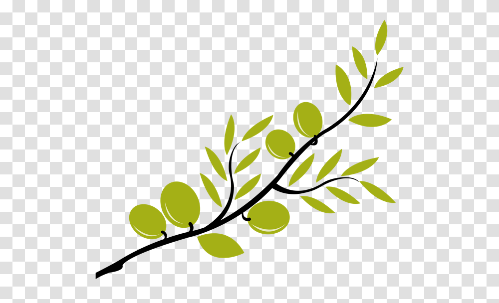 Olive Branch Drawing, Green, Floral Design Transparent Png