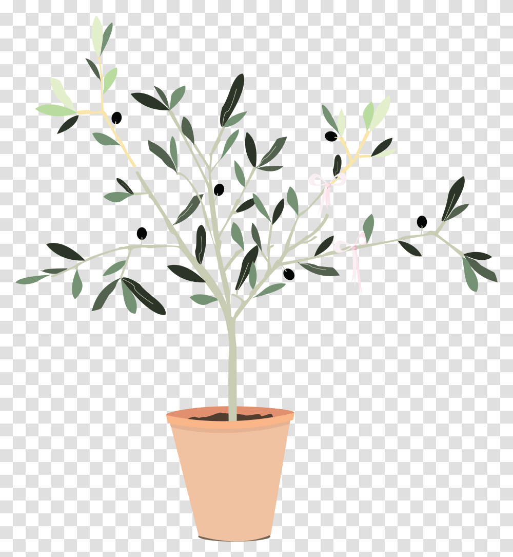 Olive Branch Flowerpot, Plant, Leaf, Stand, Shop Transparent Png