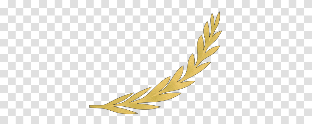 Olive Branch Gold Drawing, Leaf, Plant Transparent Png