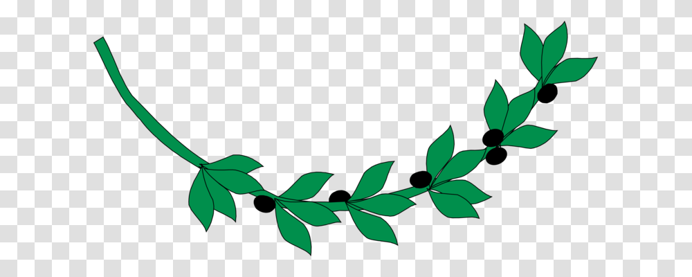 Olive Branch Gold Drawing, Leaf, Plant, Green Transparent Png