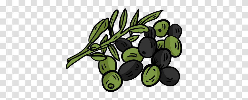 Olive Branch Leaf Flat & Svg Vector File Olive, Plant, Fruit, Food, Art Transparent Png