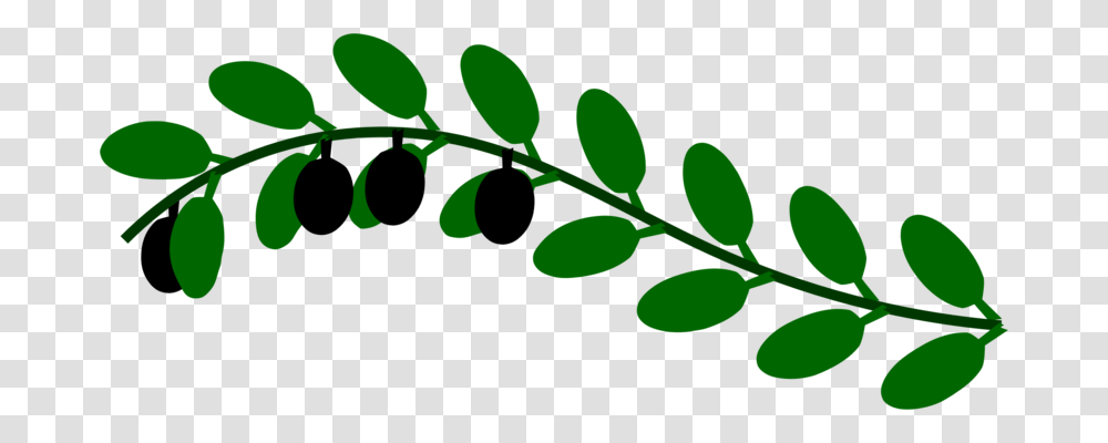 Olive Branch Leaf Laurel Wreath Tree, Plant, Green, Flower, Blossom Transparent Png