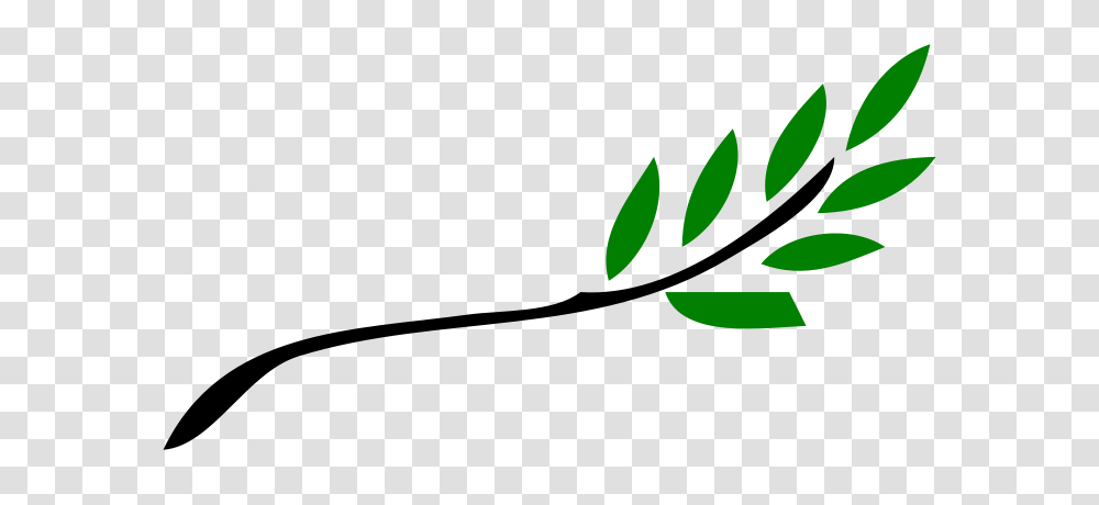 Olive Branch, Logo, Trademark Transparent Png