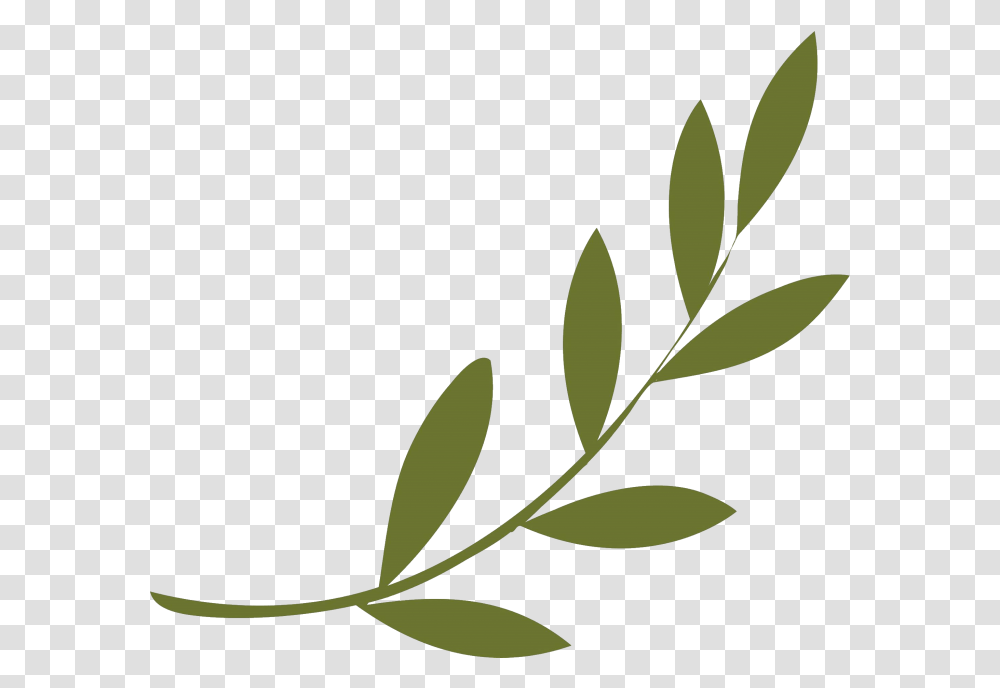 Olive Branch Peace Symbols Wreath Symbol Olive Branch Peace Symbol, Leaf, Plant, Green, Floral Design Transparent Png