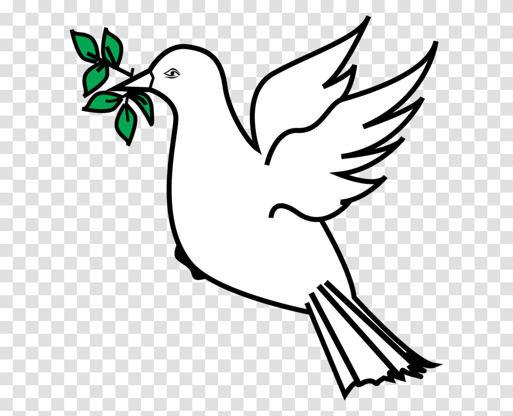 Olive Branch Petition Columbidae Doves As Symbols, Bird, Animal, Pigeon Transparent Png