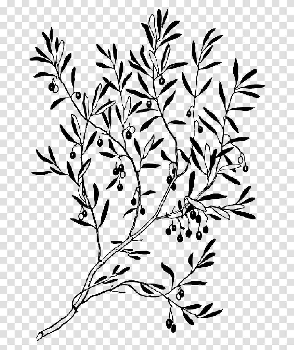 Olive Branch Vector Graphics Clip Art Silhouette Olive Tree Clipart Black And White, Stencil, Plant, Floral Design, Pattern Transparent Png
