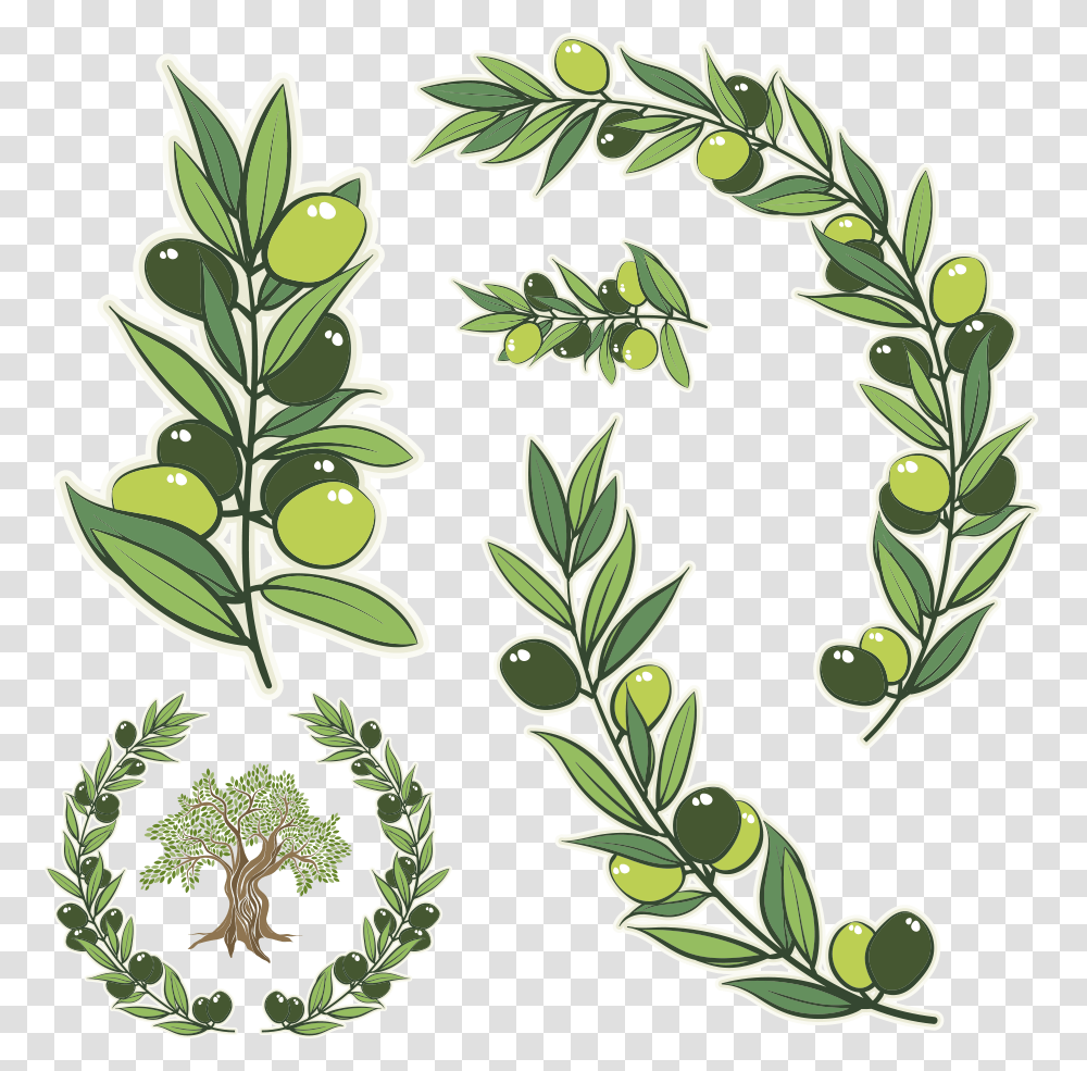 Olive Branches Clipart Olive Tree Illustration Vector, Potted Plant, Vase, Jar, Pottery Transparent Png