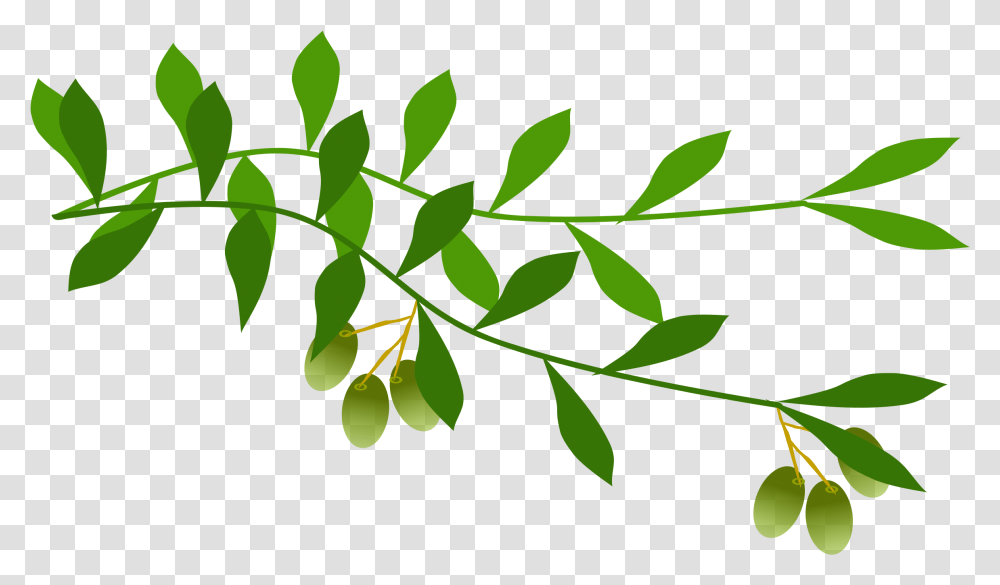 Olive Branches Olive Branch Free Clip Art, Green, Leaf, Plant Transparent Png