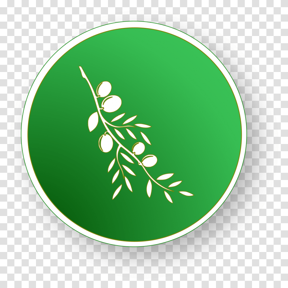 Olive Circle Olive Video Editor Icon Svg, Green, Potted Plant, Vase, Jar Transparent Png
