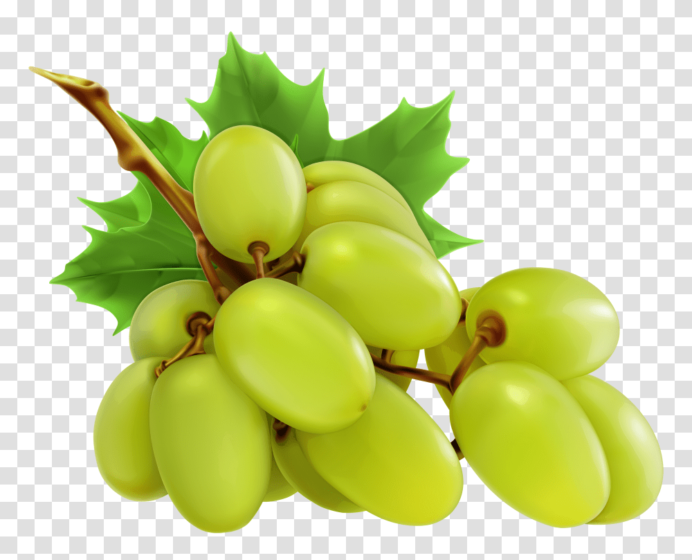 Olive Clipart Grape, Plant, Grapes, Fruit, Food Transparent Png