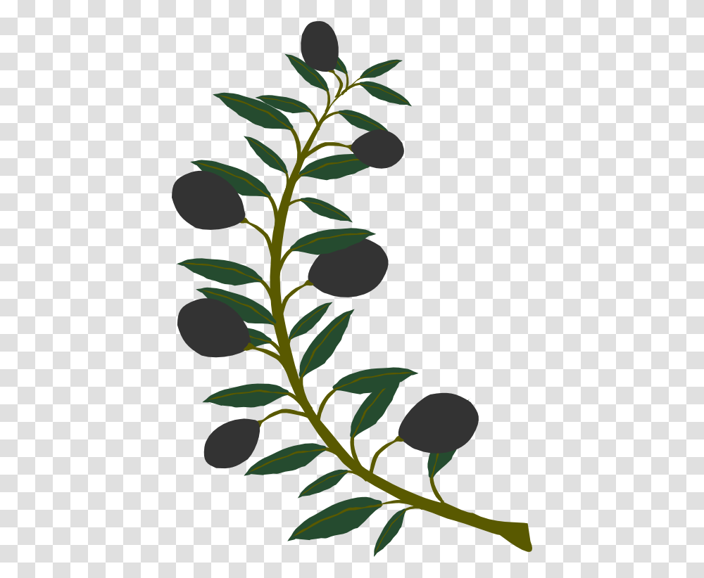 Olive Cliparts, Plant, Green, Leaf, Tree Transparent Png