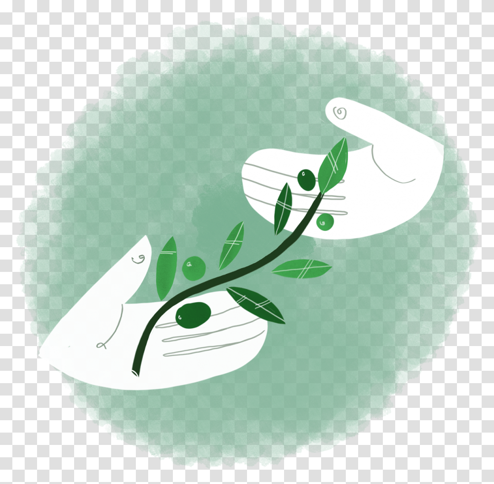 Olive For Buyers Illustration, Plant, Fruit, Food, Seed Transparent Png