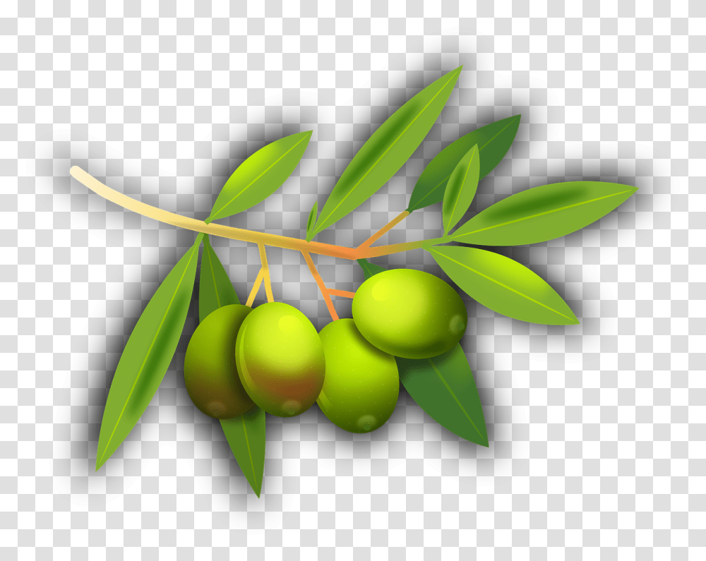 Olive Fruit, Plant, Food, Annonaceae, Tree Transparent Png