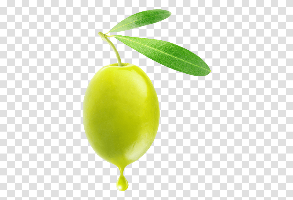 Olive Green Olive Stickers, Tennis Ball, Sport, Sports, Plant Transparent Png