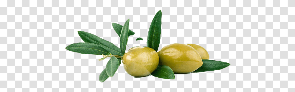 Olive Image Olive, Plant, Fruit, Food, Annonaceae Transparent Png