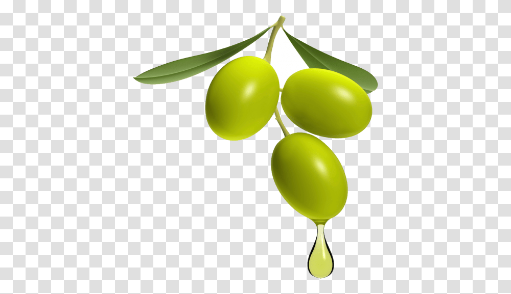 Olive Image, Plant, Fruit, Food, Grapes Transparent Png