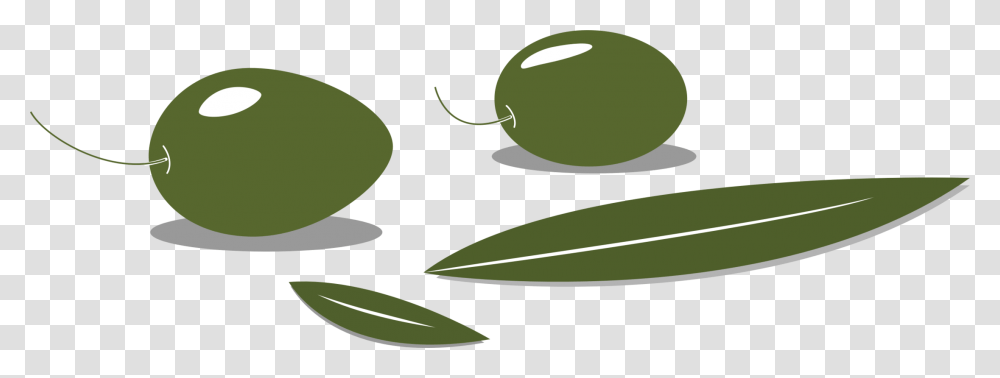 Olive Leaf Computer Icons Pdf Fruit, Plant, Green, Aloe, Seed Transparent Png