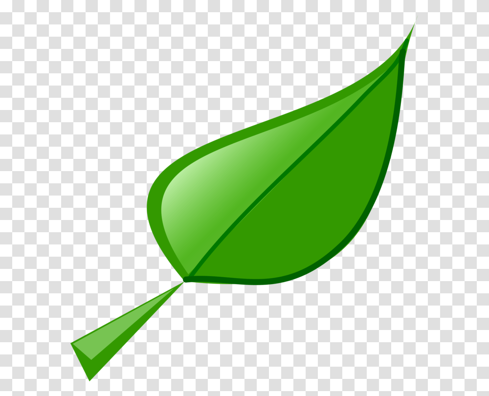 Olive Leaf Drawing Cartoon, Plant, Green, Bud, Sprout Transparent Png