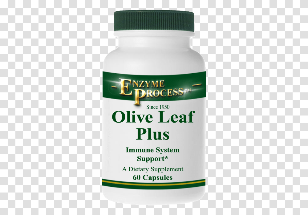 Olive Leaf Plus 60 Capsules Olive Leaf, Label, Plant, Astragalus Transparent Png