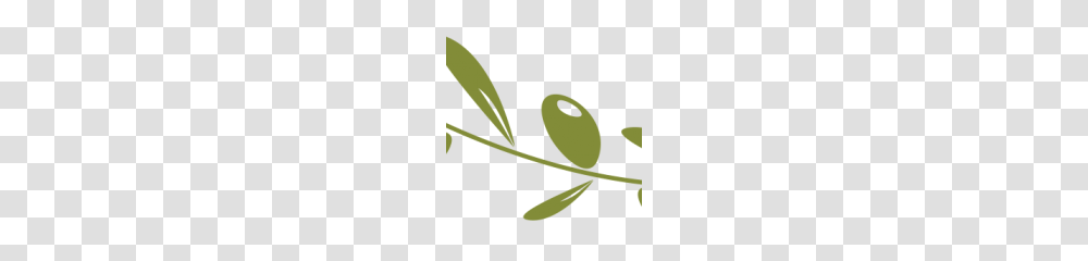 Olive Oil Clipart, Plant, Cutlery, Photography Transparent Png