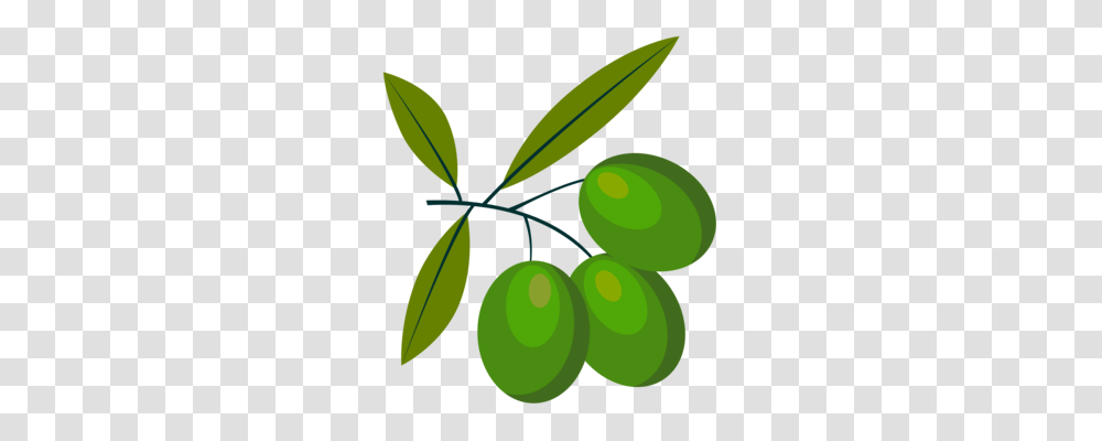 Olive Oil Olive Branch Drawing Blog, Plant, Leaf, Green, Fruit Transparent Png