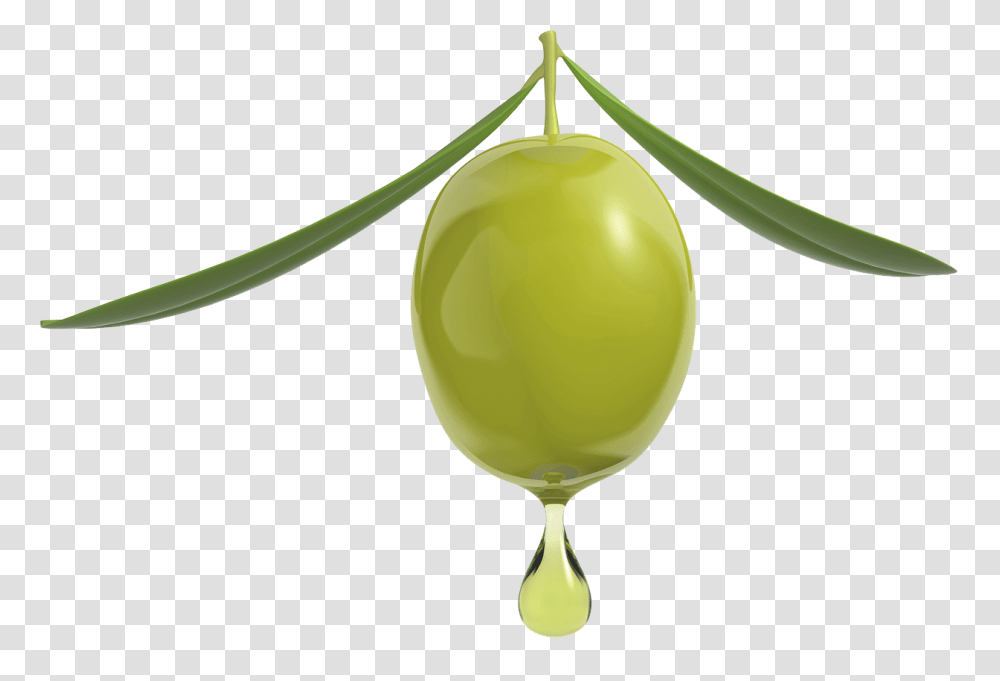 Olive Oil Olive Oil, Plant, Green, Fruit, Food Transparent Png
