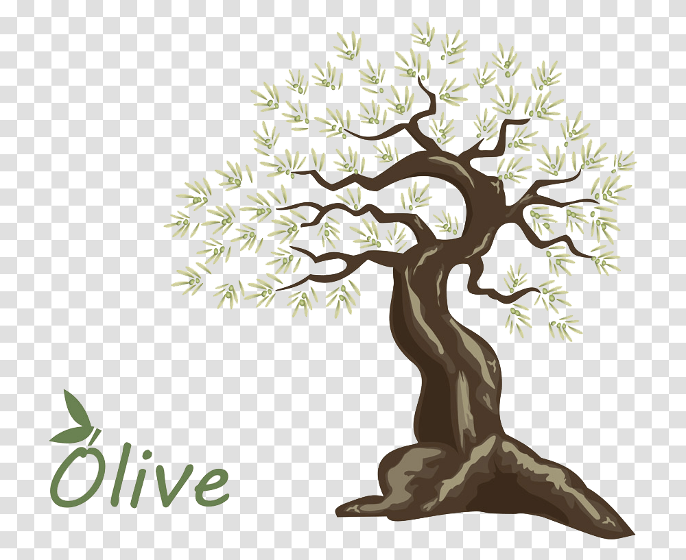 Olive Oil Tree Handpainted Olive Download 1000900 Arbol De Olivo Para En Dibujo, Plant, Oak, Conifer, Art Transparent Png