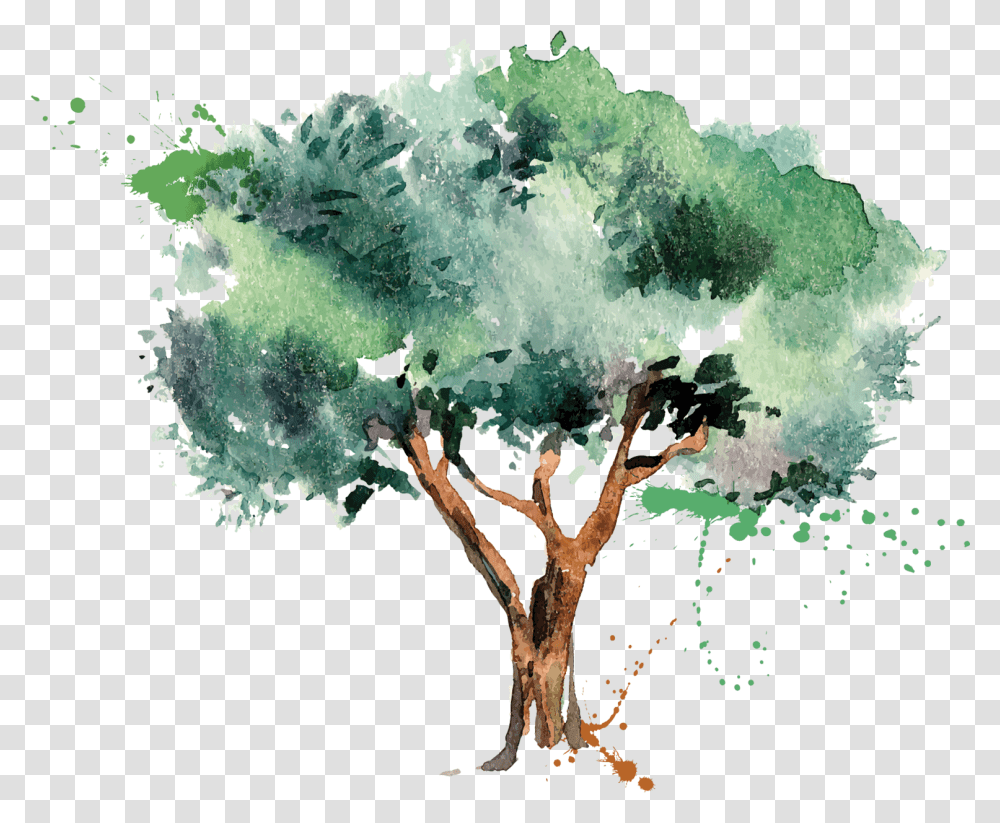 Olive Oil Tree Olive Download 15161235 Free Olive Tree Illustration Vector Free, Crystal, Mineral, Painting, Art Transparent Png