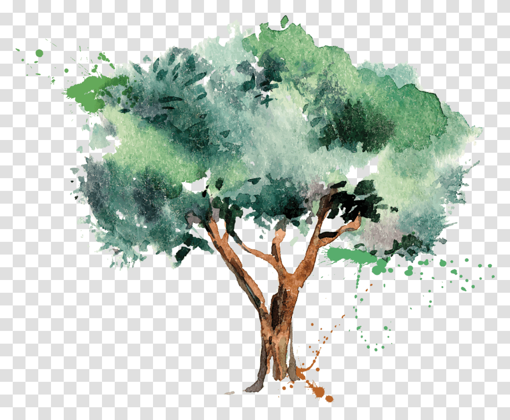 Olive Oil Tree Olive Tree Illustration, Outdoors, Plant Transparent Png