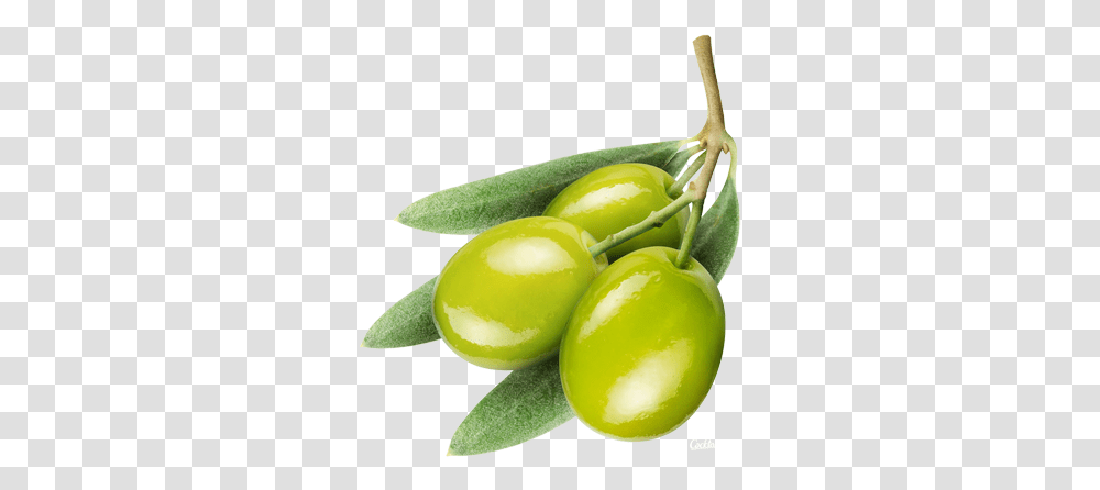 Olive Olive, Plant, Fruit, Food, Banana Transparent Png